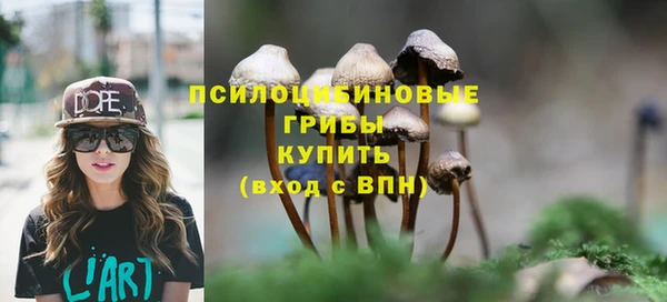 герыч Каменка
