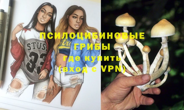 jwh Каменногорск