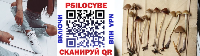 Псилоцибиновые грибы GOLDEN TEACHER  Купить  Верхнеуральск 